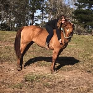 Meet your Posher, Natosha